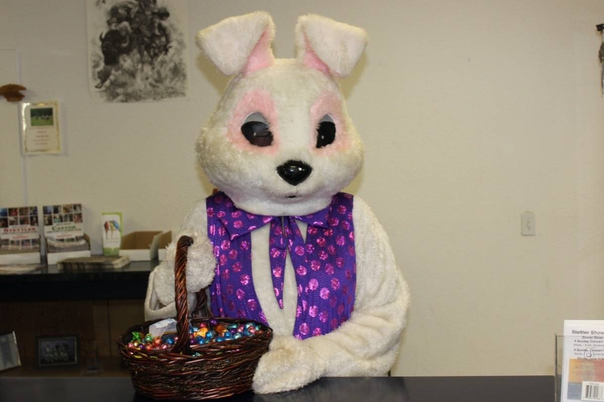 Alberta RCMP: How to be ‘egg-stra’ safe this Easter